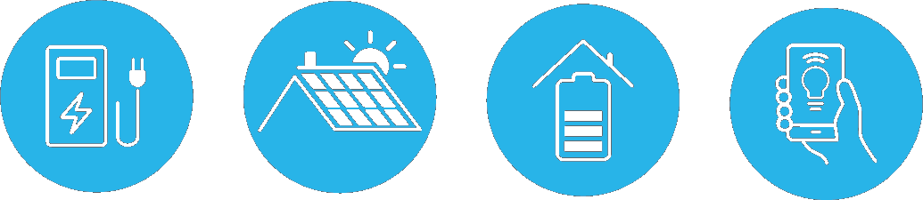 Electro Vancayseele iconen